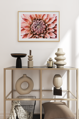Dahlia Close Up Poster