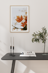 Maple Leaf Close Up Poster