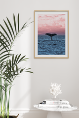 Whale Tail Poster