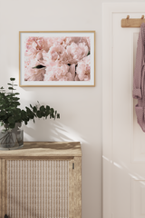 Paeonia Flowers Poster