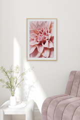 Dahlia Close Up Poster No.2