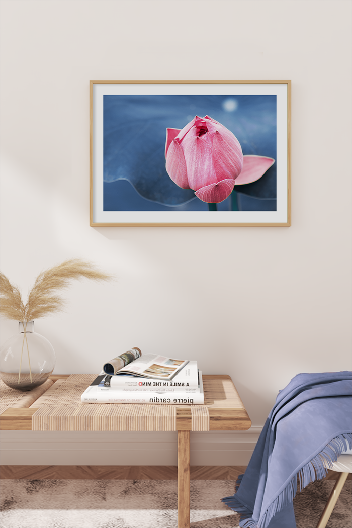 Lotus Budding Flower