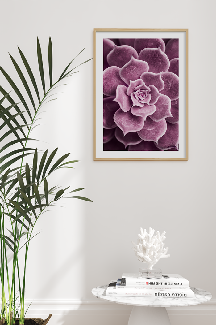 Purple Succulent Poster