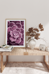Purple Succulent Poster