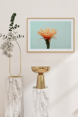 Cactus Flower Poster
