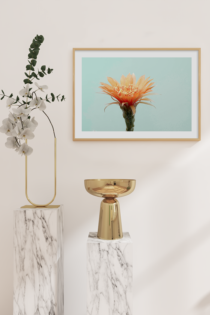 Cactus Flower Poster