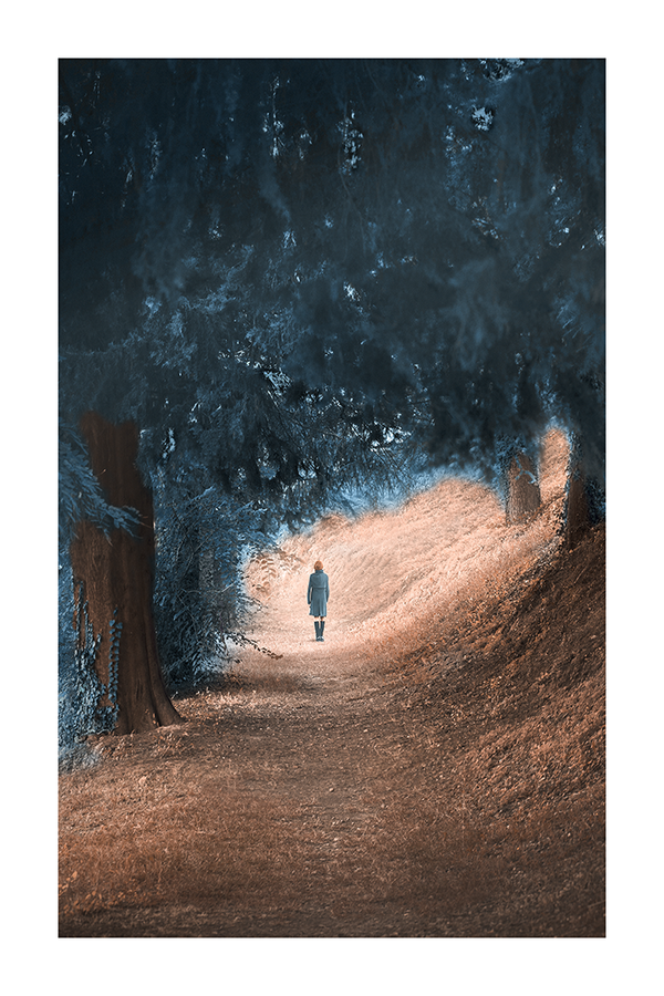 Walking on the Forest Poster