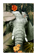 Elephant Close Up Poster