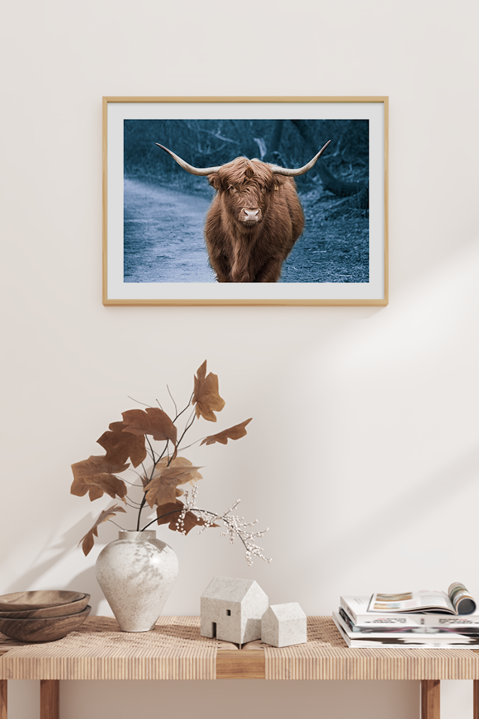 Blue Highland Cow Poster