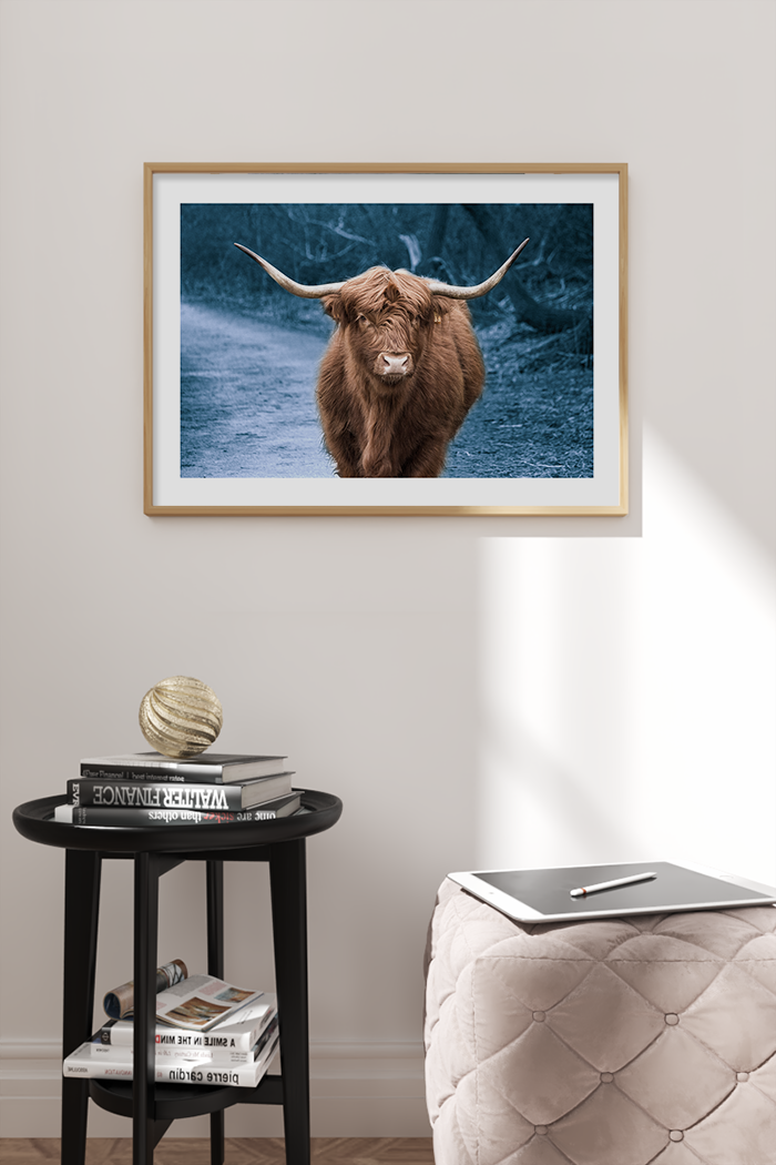 Blue Highland Cow Poster