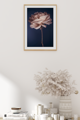 Withered Rose Poster