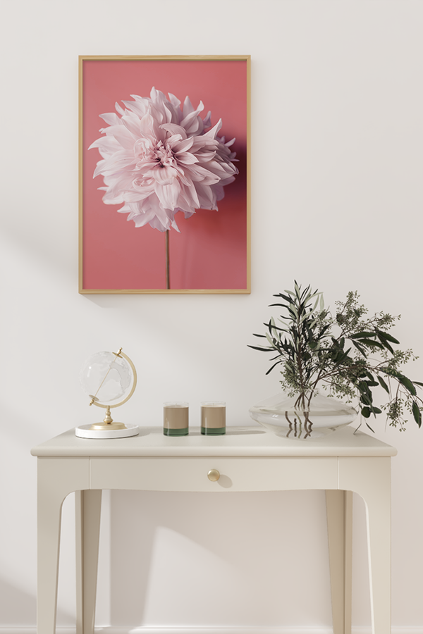 A Blooming Dahlia Poster