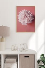 A Blooming Dahlia Poster