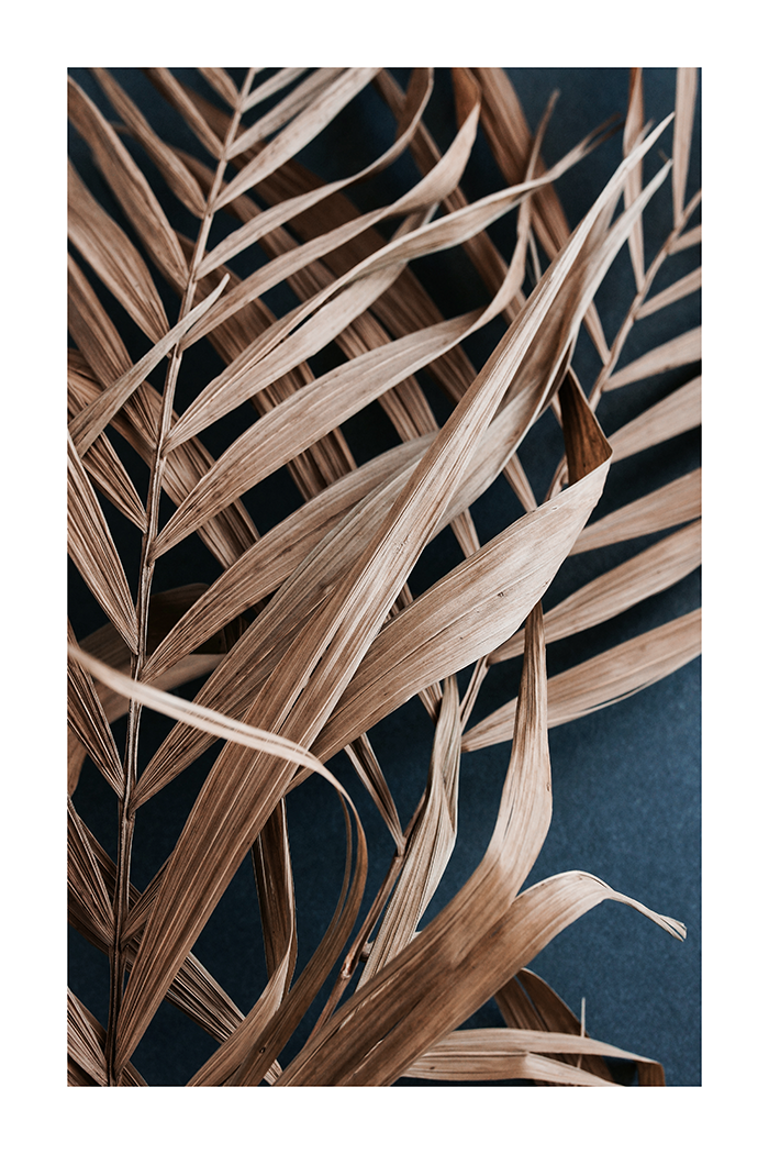 Dried Leaves Detail Poster