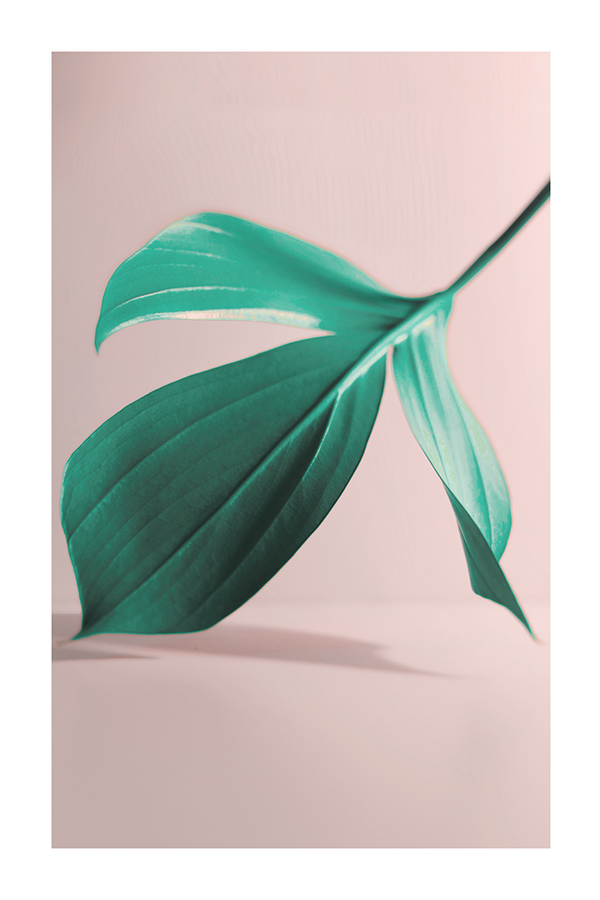 Green Leaf Detail Poster