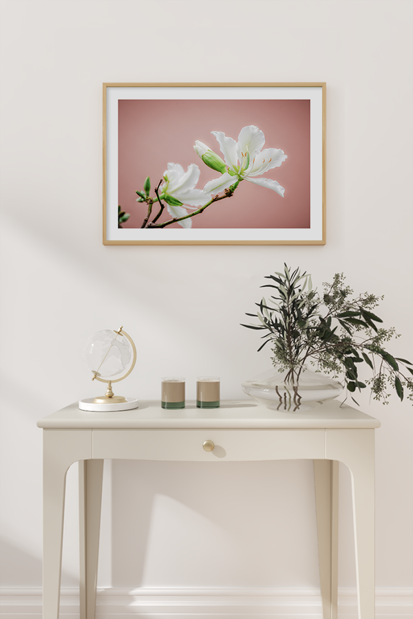 White Lily Poster