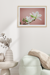 White Lily Poster