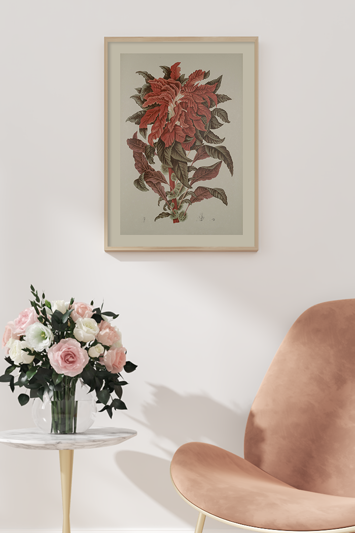 Vintage Amarantus Tricolor Poster