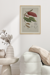 Vintage Cacao Poster