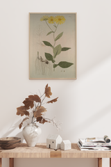 Vintage Daisy Poster