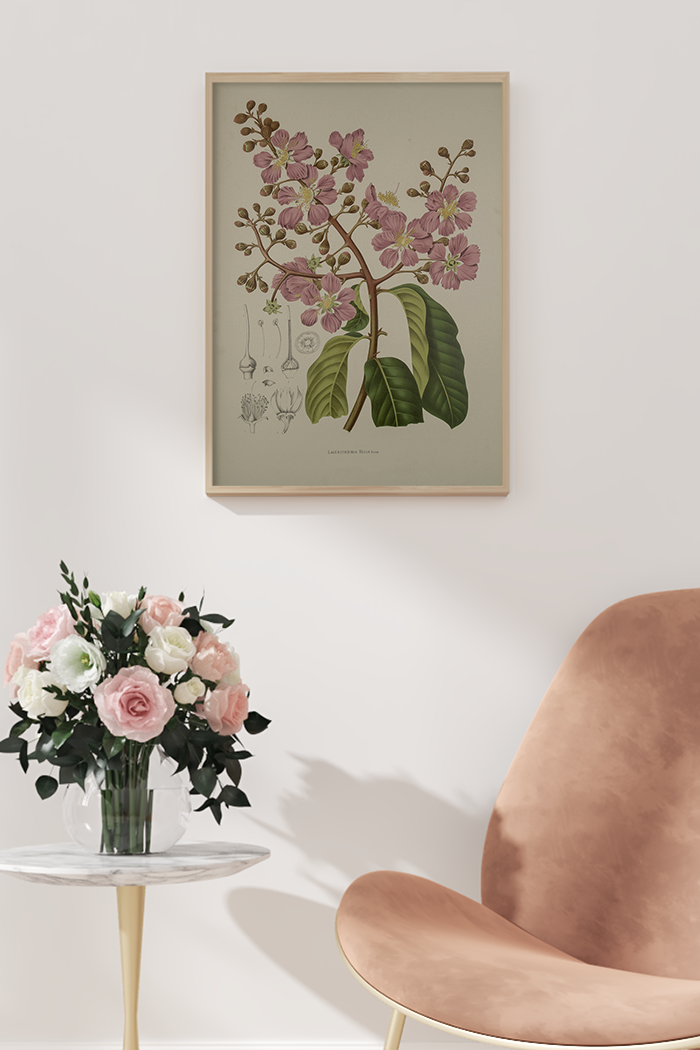 Vintage Lacerstroemia Poster