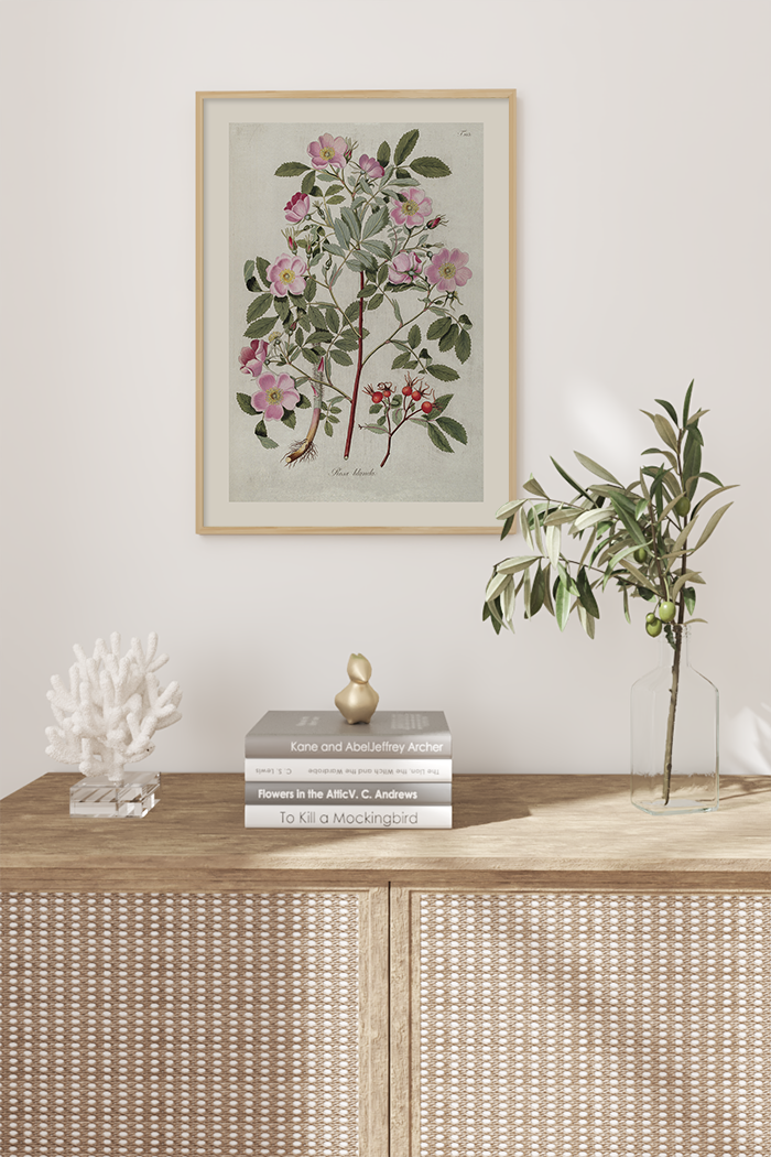 Vintage Rosa Blando Poster