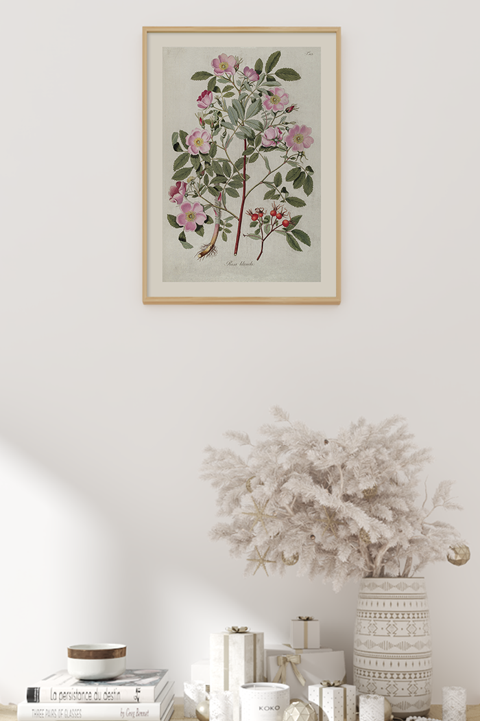 Vintage Rosa Blando Poster