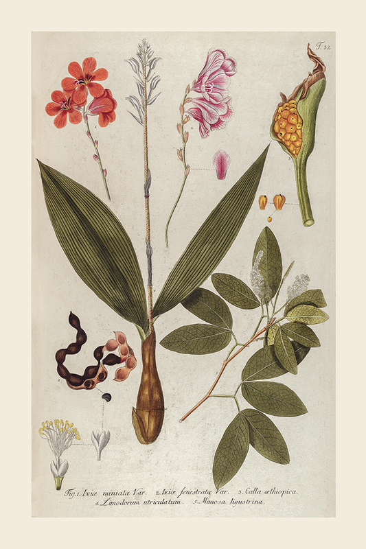 Vintage Floral Poster