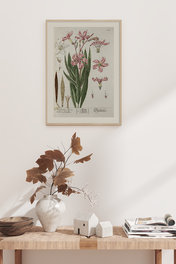 Vintage Aerium Flore Poster