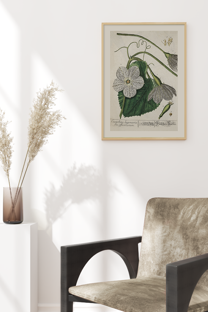 Vintage Cucurbita Lafenaria Poster