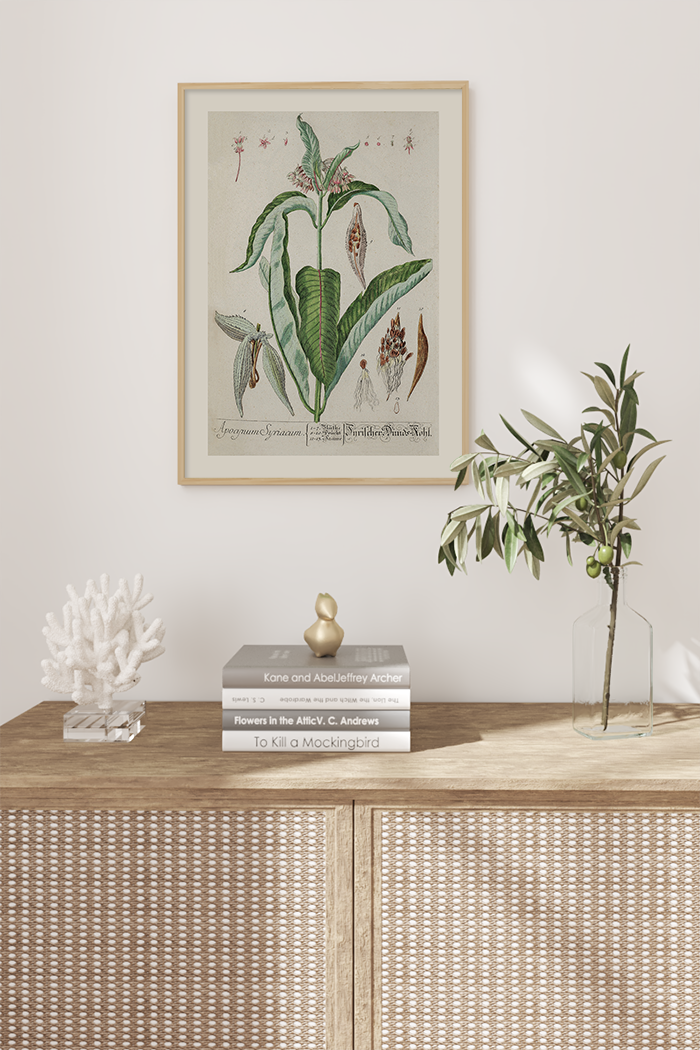 Vintage Apocynum Syriacum Poster