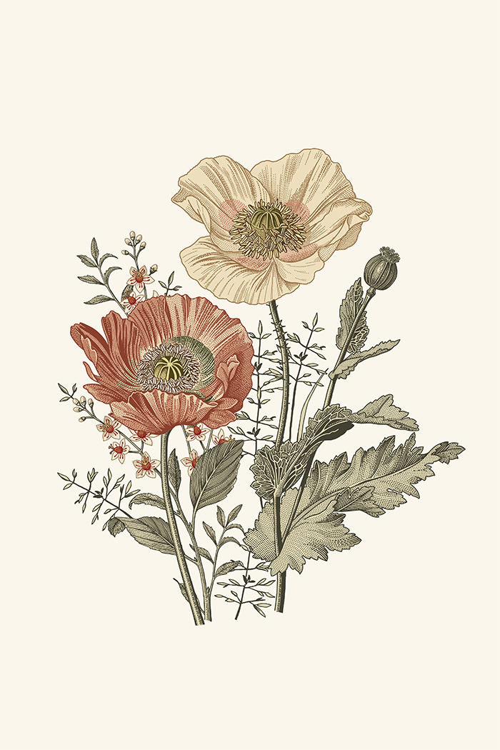 Beige Red Flower Illustration Poster