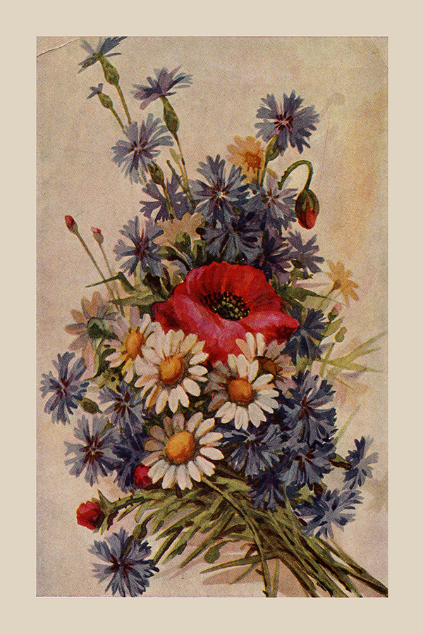 Vintage Poster Wild Flowers – Manine Montessori
