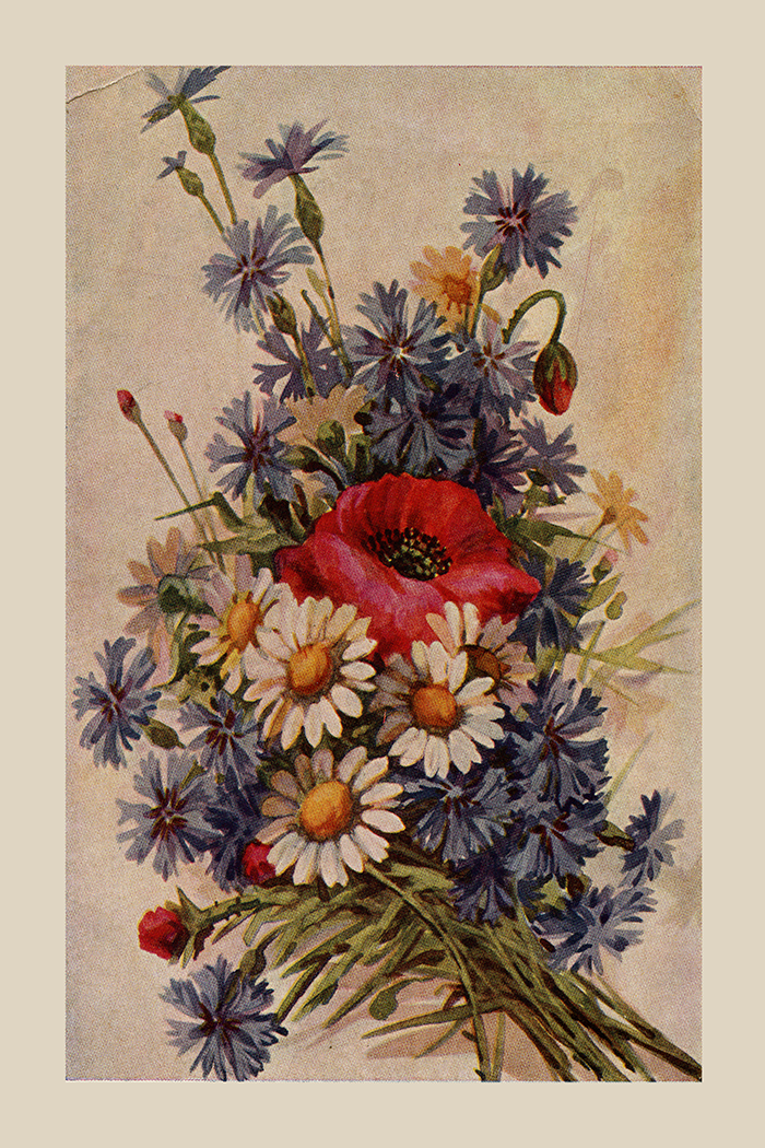 Vintage Floral Poster
