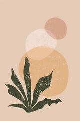 Botanical and Shapes Poster
