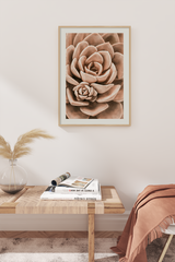 Succulent in Detail Poster
