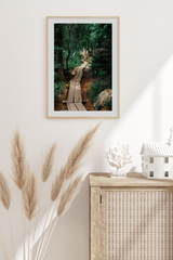 A Path to Forest Poster