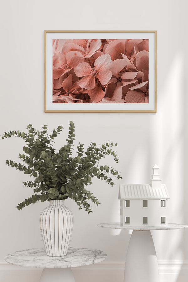 Pink Hydrangea Detail Poster