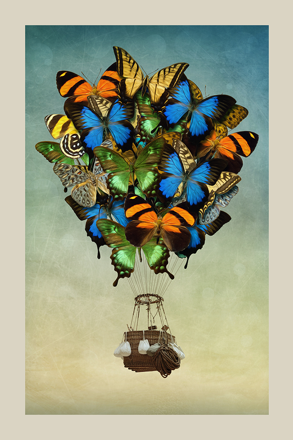 Vintage Butterfly Ballon Poster