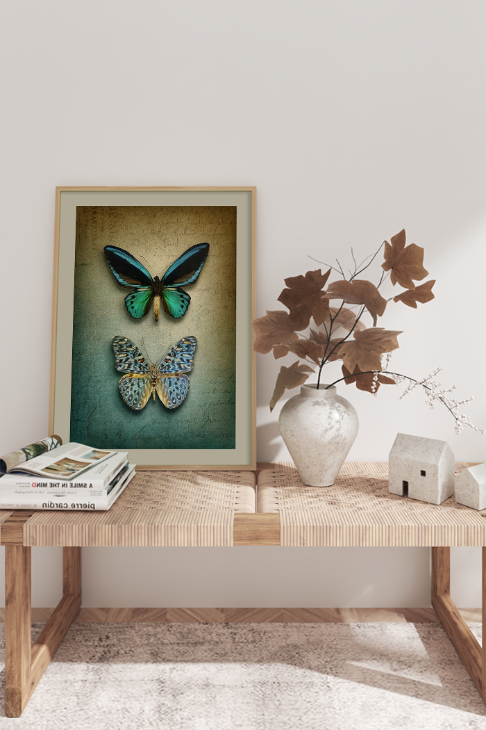 Vintage Two Butterfly Poster