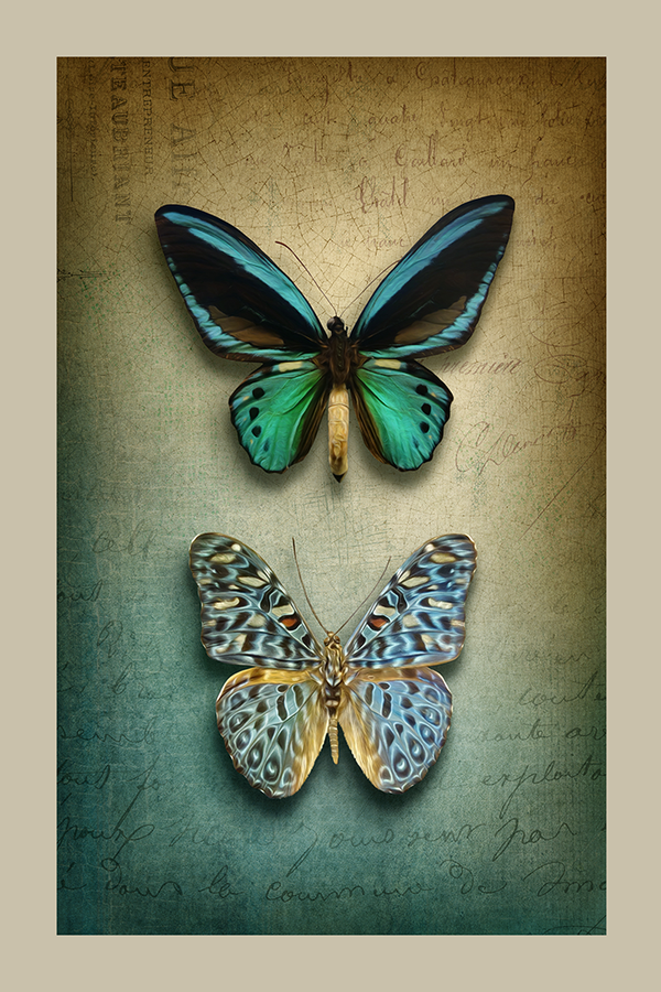 Vintage Two Butterfly Poster