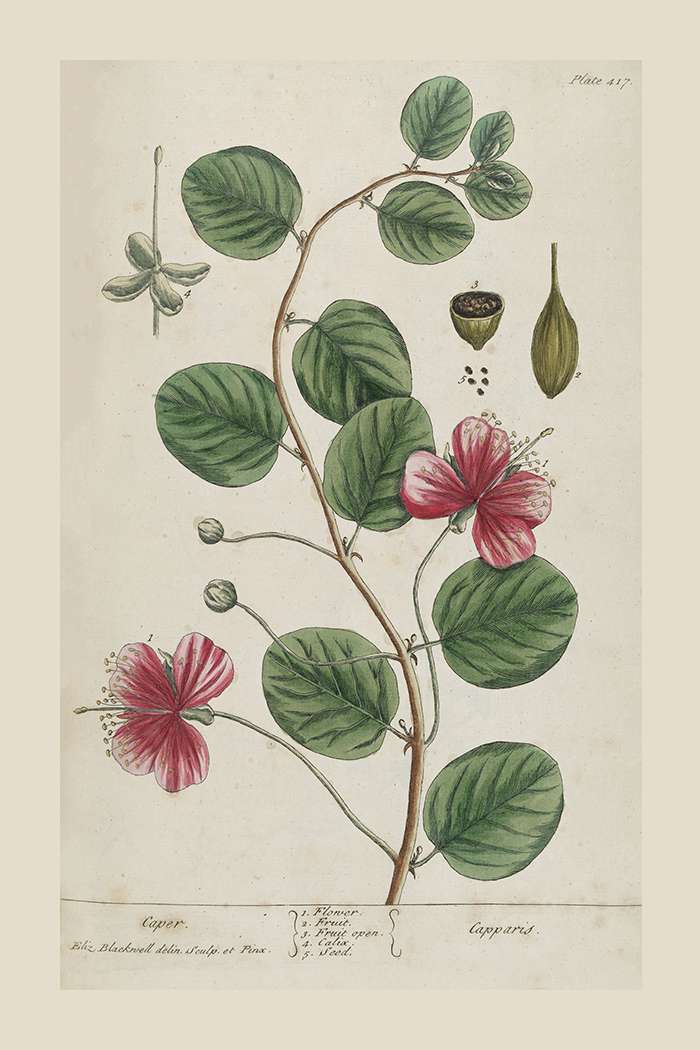 Vintage Caper Poster