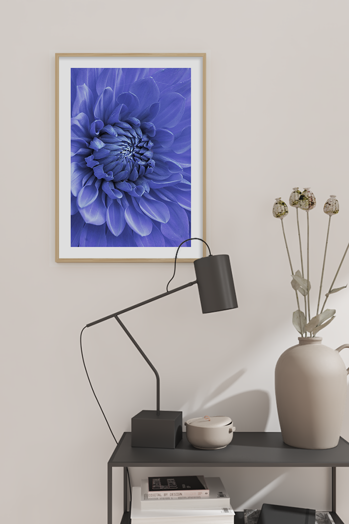 Purple Dahlia Poster