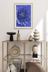 Purple Dahlia Poster