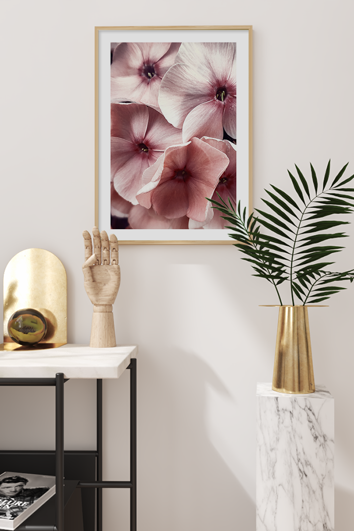 Phlox Picasso Poster