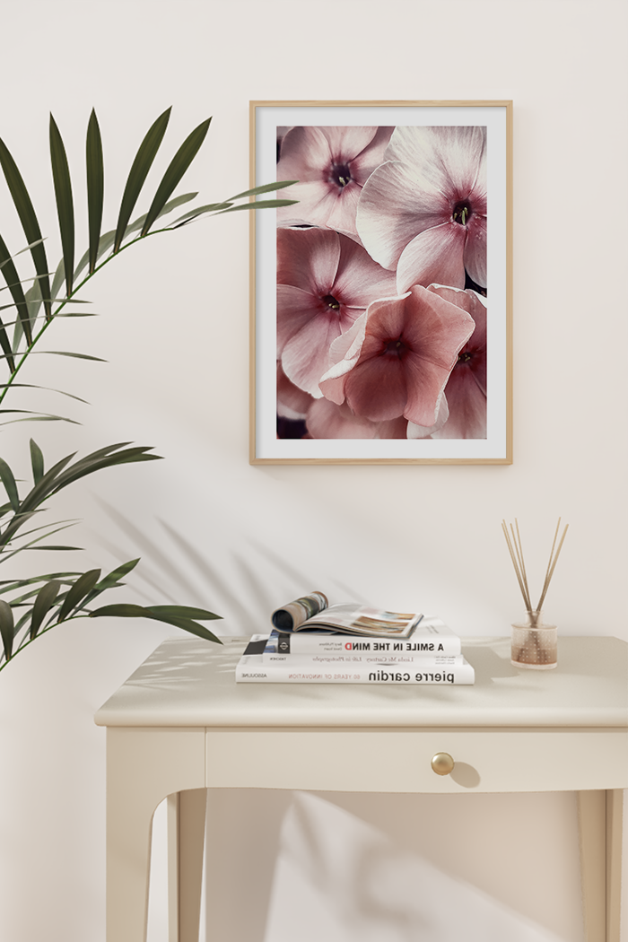 Phlox Picasso Poster