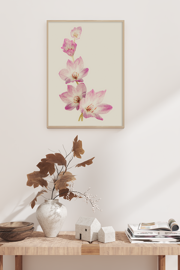 Pastel Pink Lily Poster