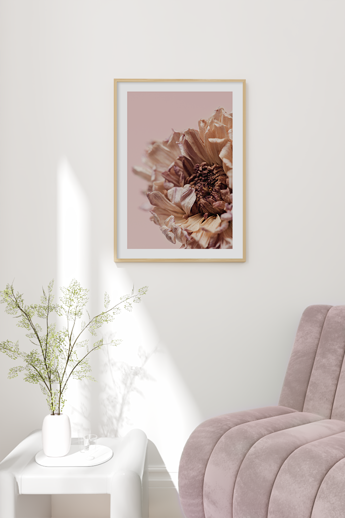 Dry chrysanthemum Poster