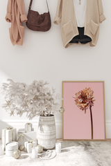 Dry chrysanthemum Poster No.2