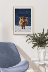 Snowfield Highland Cow Poster